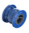 Cast iron check valve