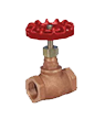 Tapped globe valve